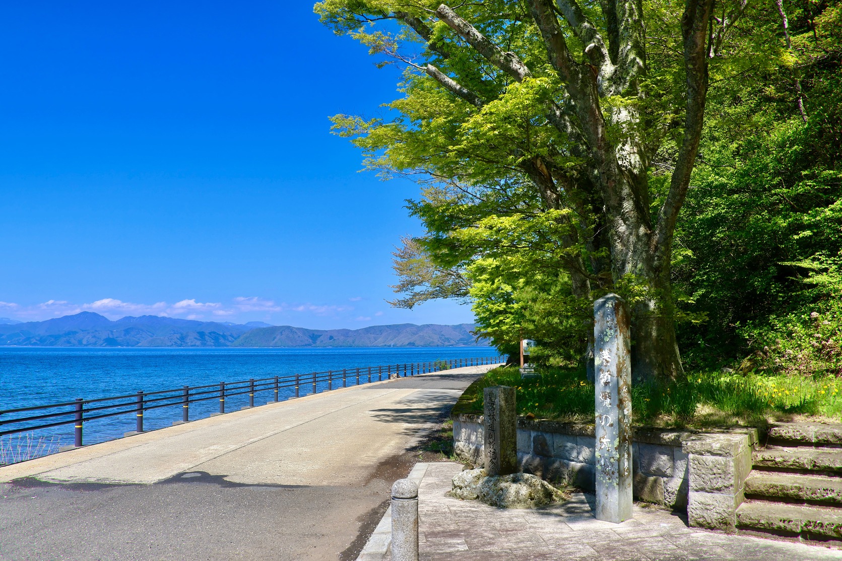 自転車と風景