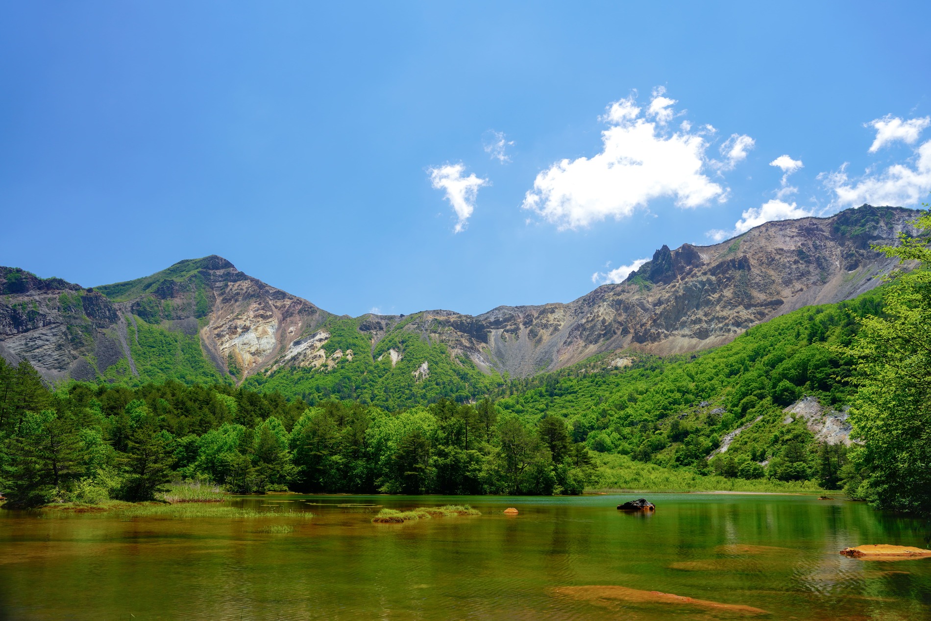 湖沼帯の風景